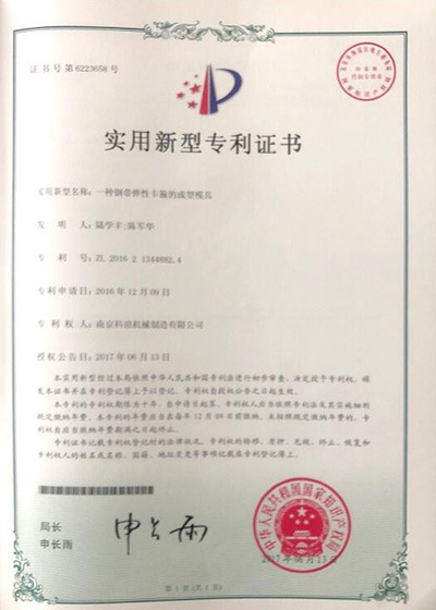 一种钢带弹性卡箍的成型模具